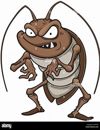 Nguyen Chau Tan Cuong